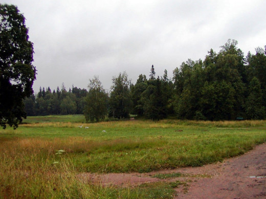 23655 (a): :1024x768